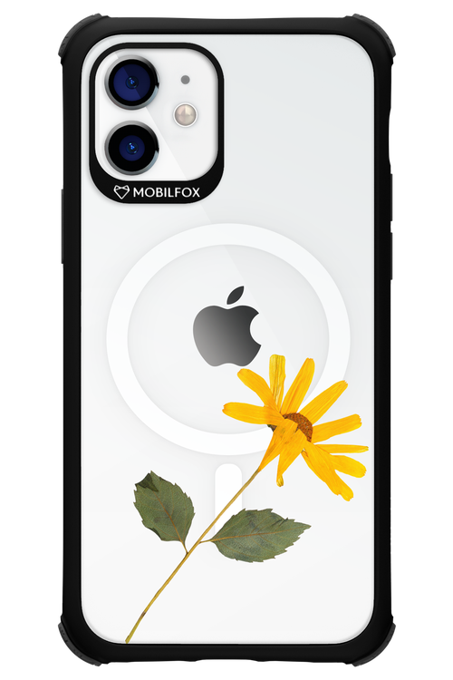 Pressed Flower - Apple iPhone 12