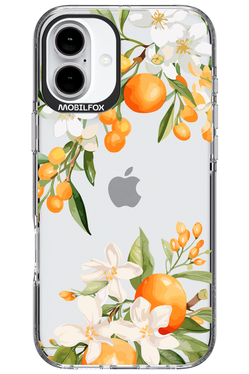 Amalfi Orange - Apple iPhone 16 Plus