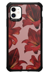 Amaryllis Mist - Apple iPhone 11