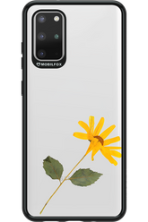 Pressed Flower - Samsung Galaxy S20+