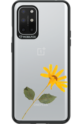 Pressed Flower - OnePlus 8T