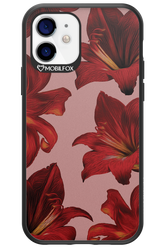 Amaryllis Mist - Apple iPhone 12