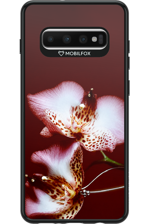 Leobloomy 2.0 - Samsung Galaxy S10+