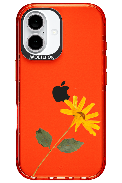 Pressed Flower - Apple iPhone 16