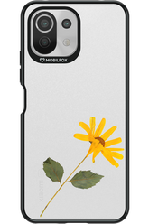 Pressed Flower - Xiaomi Mi 11 Lite (2021)