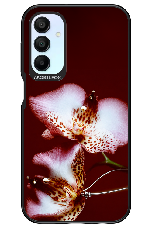 Leobloomy 2.0 - Samsung Galaxy A15