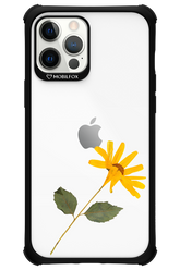 Pressed Flower - Apple iPhone 12 Pro Max