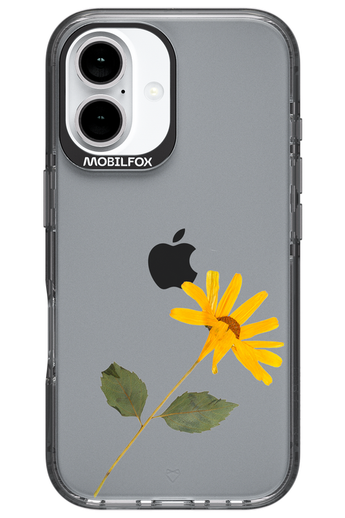 Pressed Flower - Apple iPhone 16