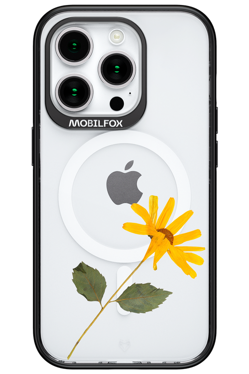 Pressed Flower - Apple iPhone 15 Pro