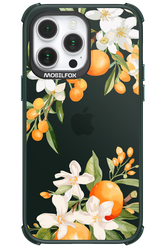Amalfi Orange - Apple iPhone 14 Pro Max