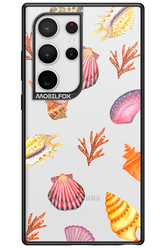 Sea Shells - Samsung Galaxy S24 Ultra