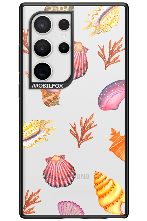 Sea Shells - Samsung Galaxy S24 Ultra
