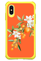 Amalfi Oranges - Apple iPhone XS