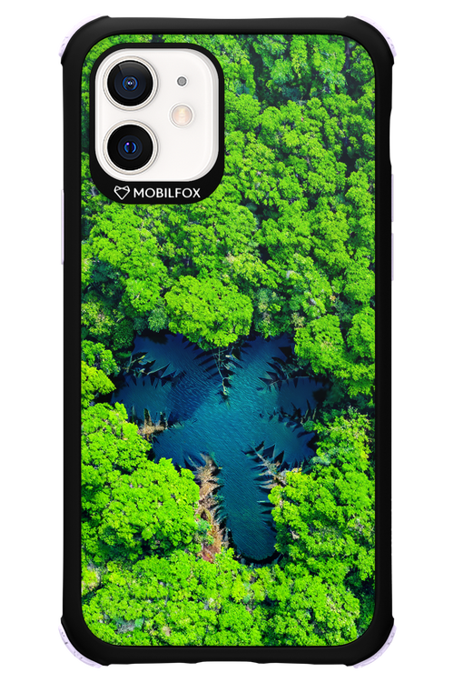 Amazon Echo - Apple iPhone 12