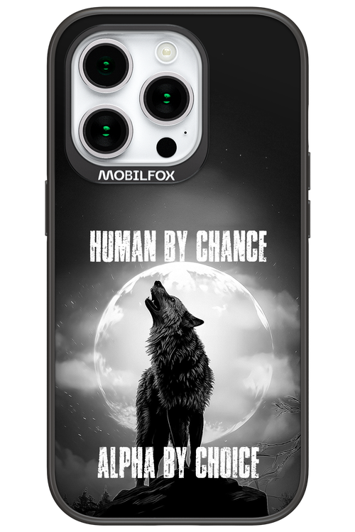 Alpha 2.0 - Apple iPhone 15 Pro