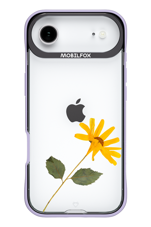 Pressed Flower - Apple iPhone 17 Air