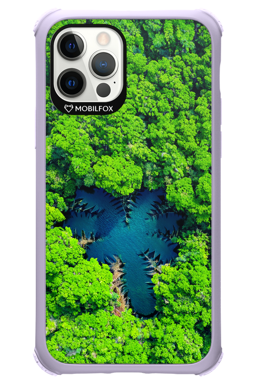 Amazon Echo - Apple iPhone 12 Pro