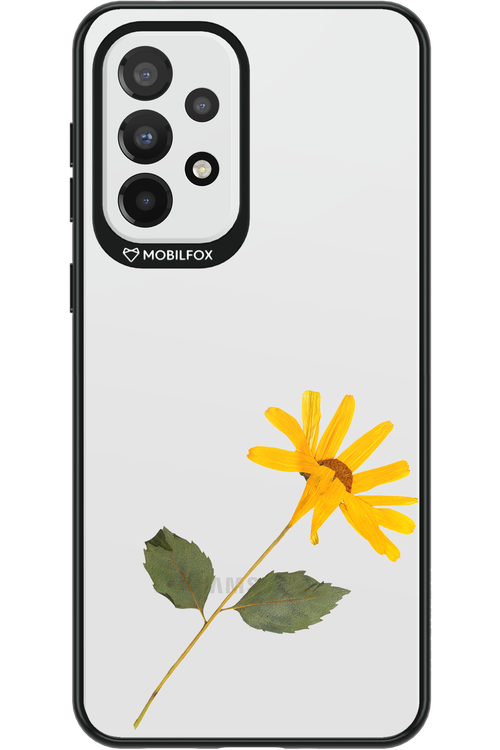 Pressed Flower - Samsung Galaxy A33