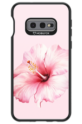 HibiPinky 2.0 - Samsung Galaxy S10e