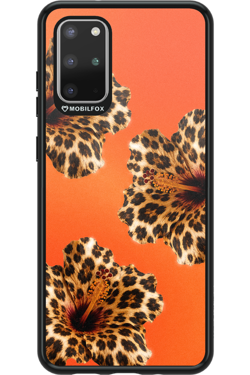 Sun Purr 2.0 - Samsung Galaxy S20+