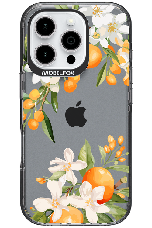 Amalfi Orange - Apple iPhone 16 Pro