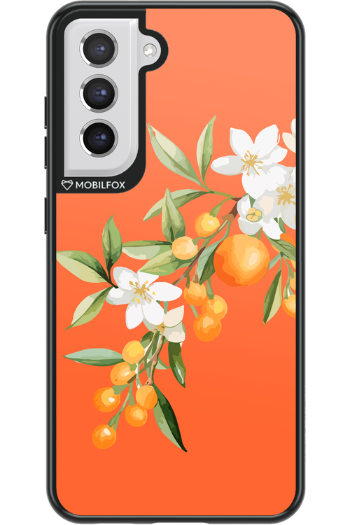 Amalfi Oranges - Samsung Galaxy S21 FE