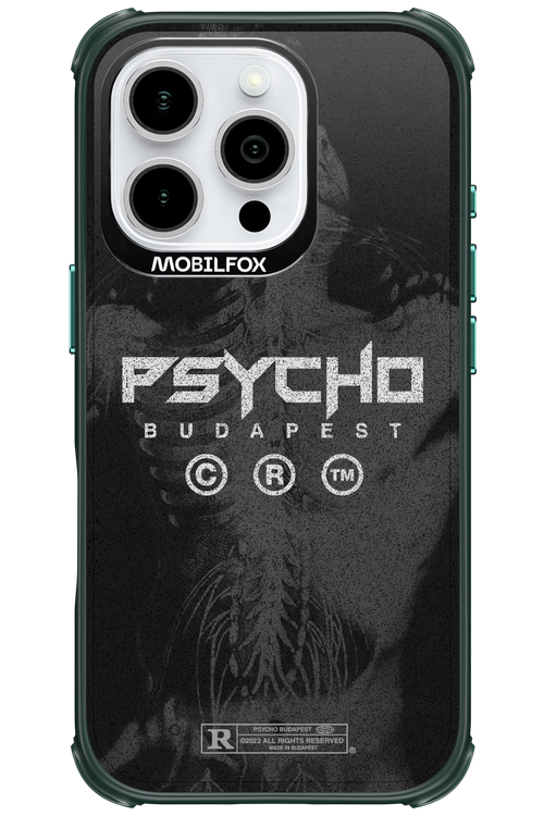 X-Ray - Apple iPhone 16 Pro