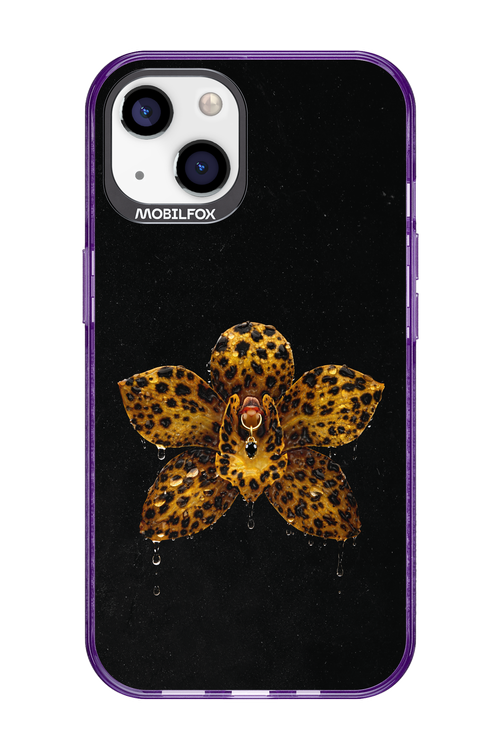Wet & Wild 2.0 - Apple iPhone 13