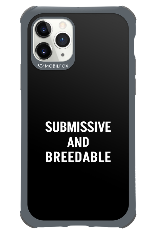 S&B - Apple iPhone 11 Pro