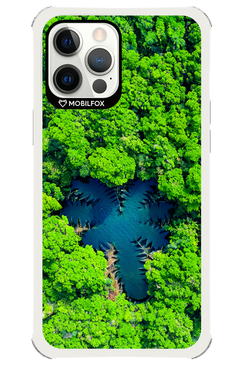 Amazon Echo - Apple iPhone 12 Pro Max