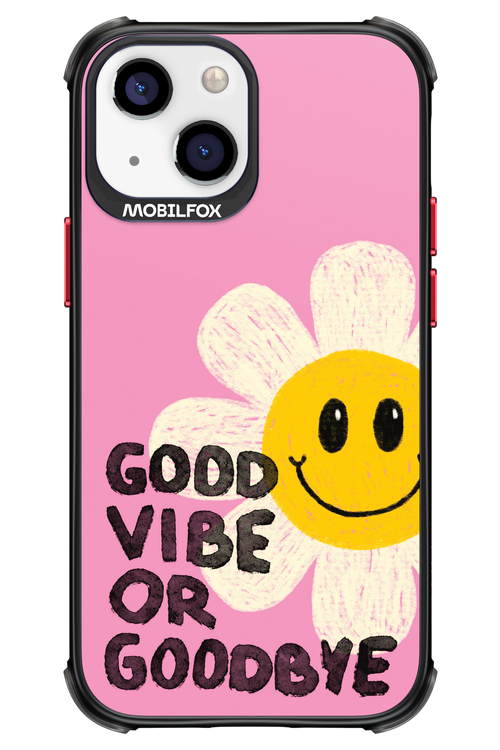 Goodbye 2.0 - Apple iPhone 13 Mini