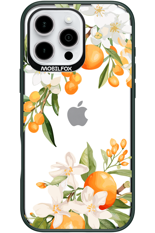 Amalfi Orange - Apple iPhone 16 Pro Max