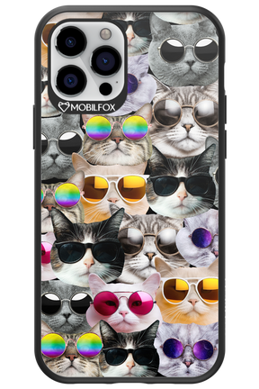 Cat World - Apple iPhone 12 Pro