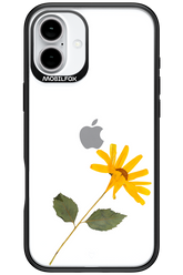 Pressed Flower - Apple iPhone 16 Plus