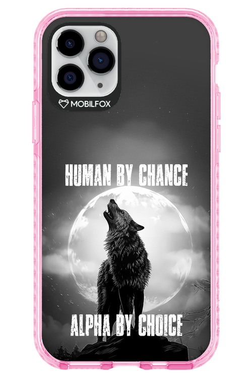 Alpha 2.0 - Apple iPhone 11 Pro