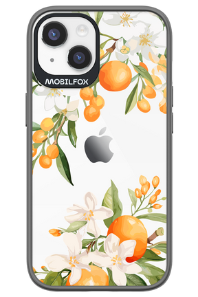 Amalfi Orange - Apple iPhone 14