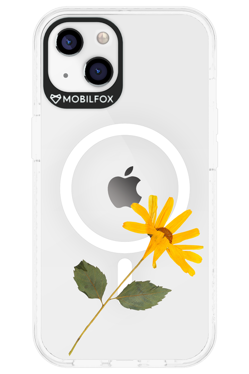 Pressed Flower - Apple iPhone 13