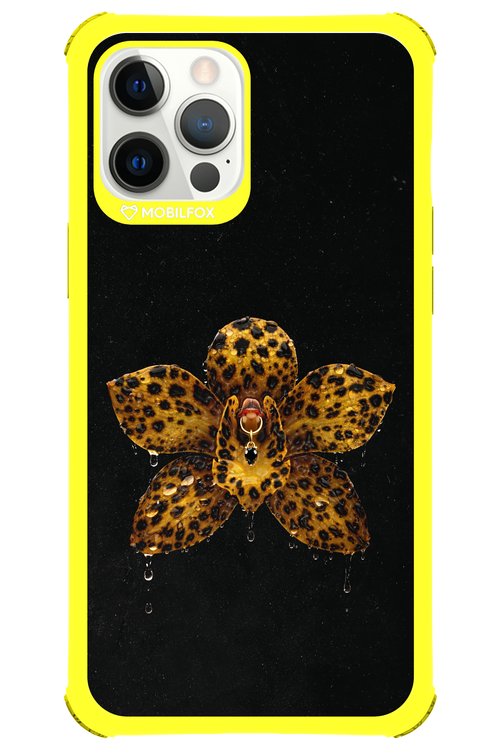 Wet & Wild 2.0 - Apple iPhone 12 Pro Max