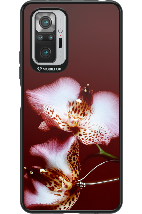 Leobloomy 2.0 - Xiaomi Redmi Note 10S