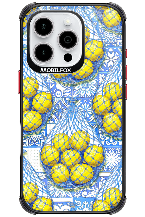 Net Style - Apple iPhone 16 Pro