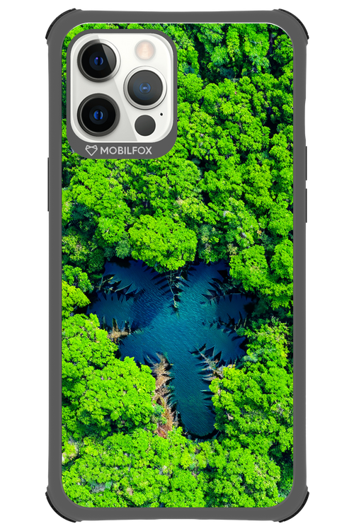 Amazon Echo - Apple iPhone 12 Pro Max