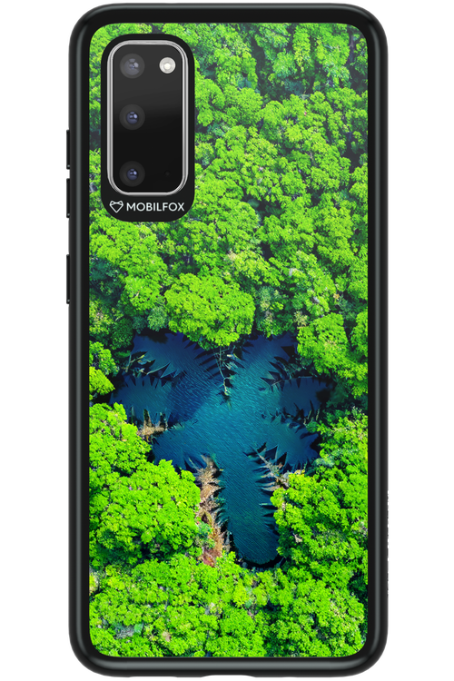 Amazon Echo - Samsung Galaxy S20