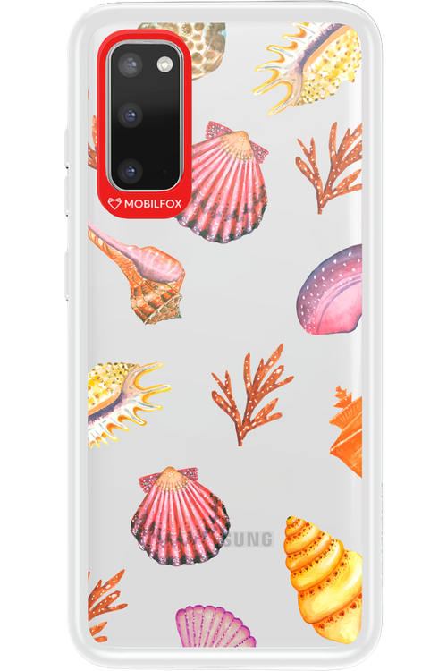 Sea Shells - Samsung Galaxy S20