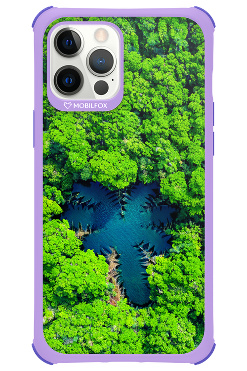 Amazon Echo - Apple iPhone 12 Pro Max