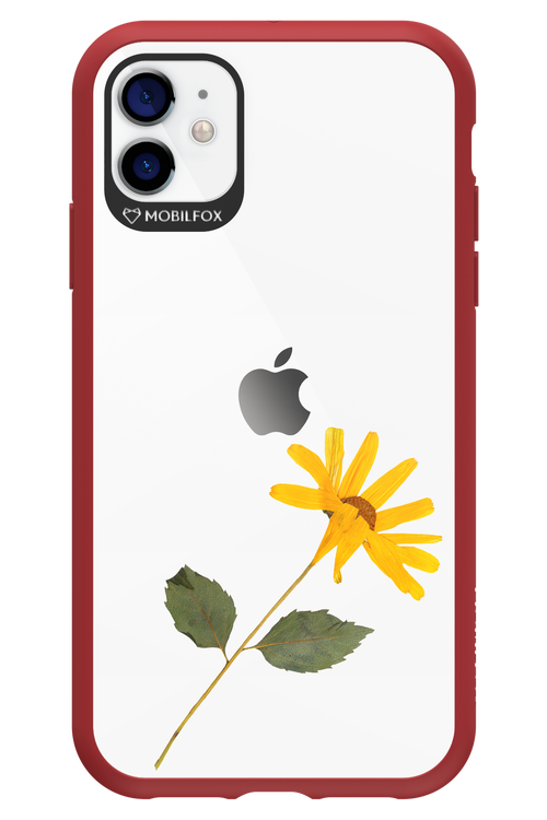 Pressed Flower - Apple iPhone 11