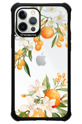 Amalfi Orange - Apple iPhone 12 Pro