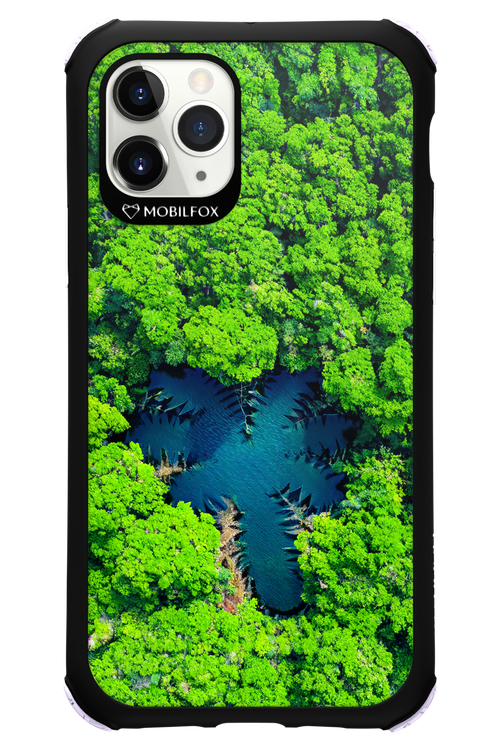 Amazon Echo - Apple iPhone 11 Pro
