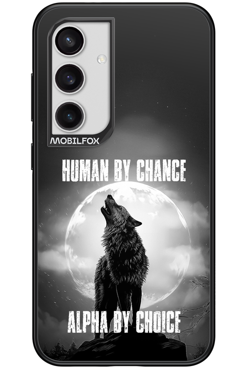 Alpha 2.0 - Samsung Galaxy S24