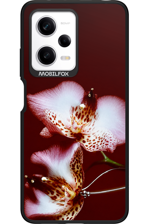 Leobloomy 2.0 - Xiaomi Redmi Note 12 Pro 5G