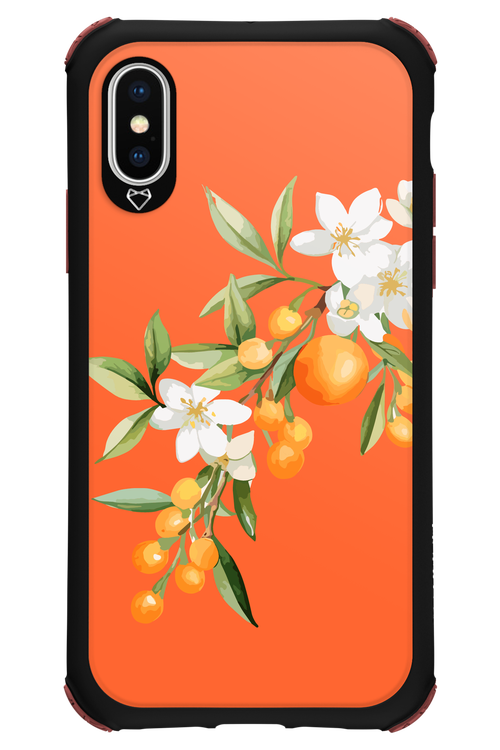 Amalfi Oranges - Apple iPhone XS